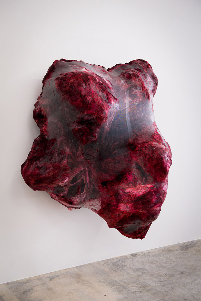 Anish Kapoor - 